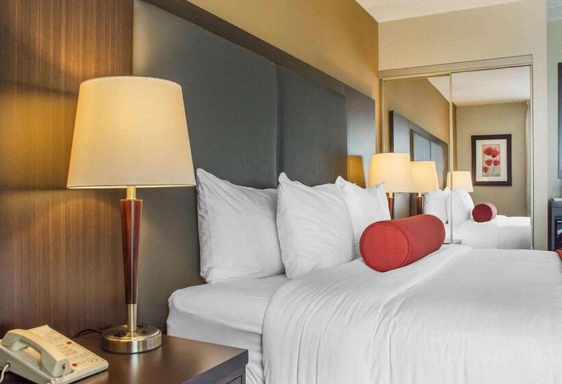 غرفة قياسية سرير كينج, Comfort Inn