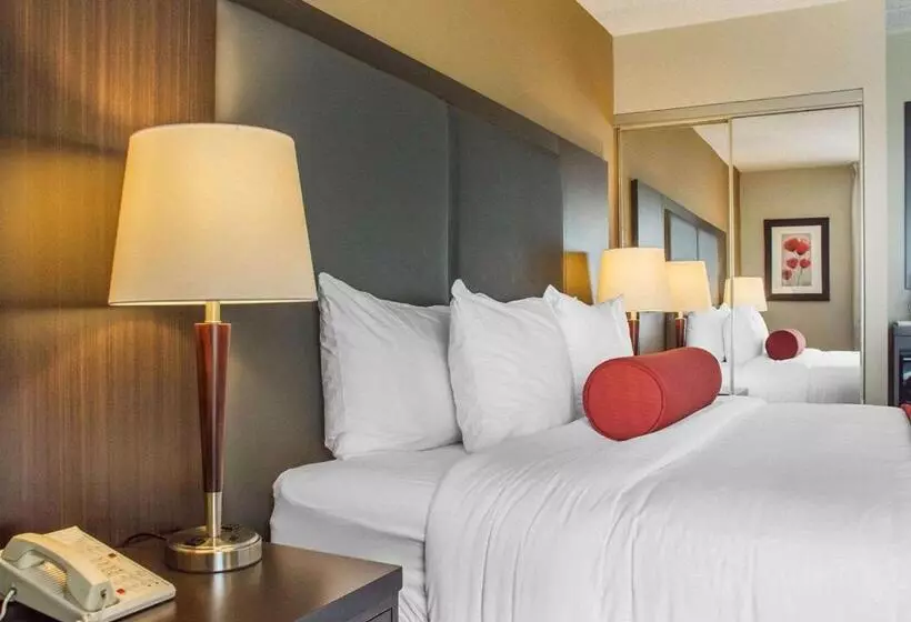 キングサイズベッドのスタンダードルーム, Comfort Inn