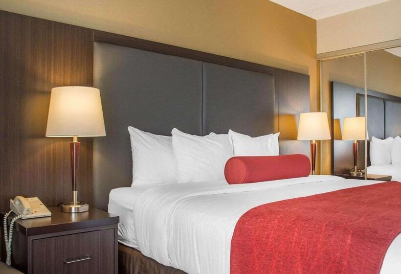 스탠다드 룸 킹사이즈 침대, Comfort Inn