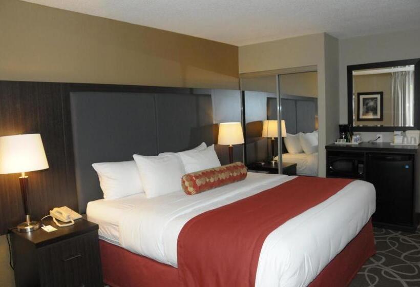 스탠다드 룸, Comfort Inn