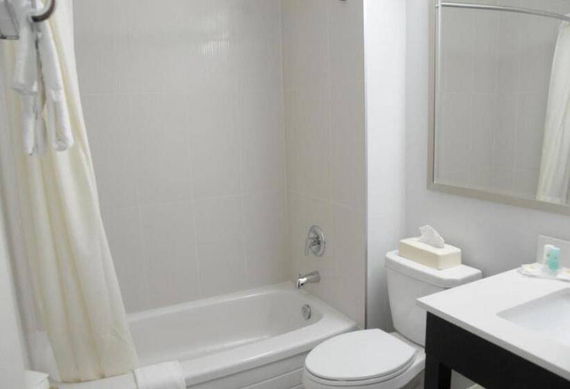 غرفه قياسيه سريرين مزدوجين, Comfort Inn