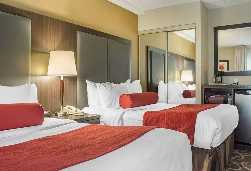 ２ダブルベッドのスタンダードルーム, Comfort Inn