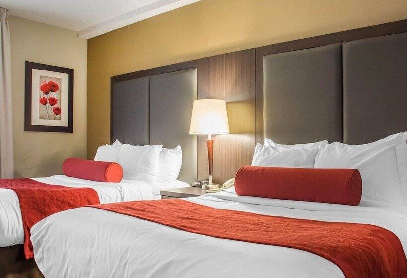 스탠다드 룸 더블 침대 2개, Comfort Inn