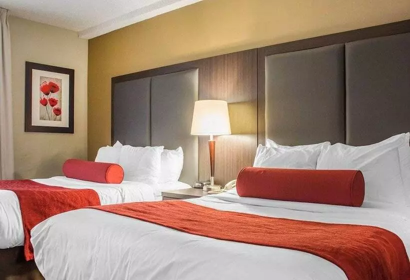 ２ダブルベッドのスタンダードルーム, Comfort Inn