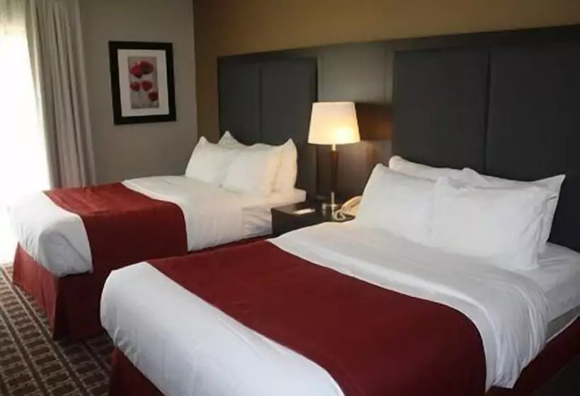 ２ダブルベッドのスタンダードルーム, Comfort Inn