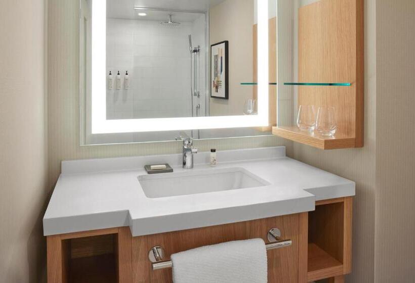 Номер Deluxe Кровать Кинг, Delta Hotels Calgary Airport In Terminal