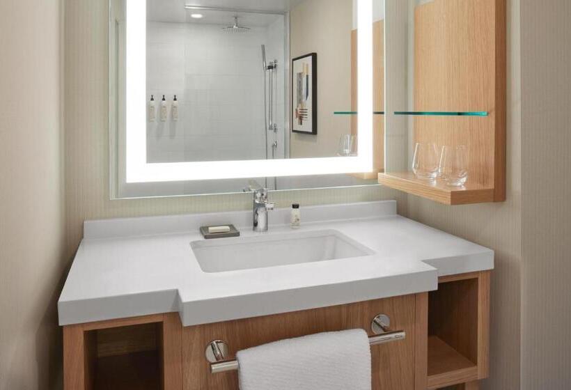 Premium Room, Delta Hotels Calgary Airport In Terminal