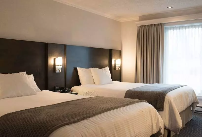 Quarto Classe Business, Des Eskers