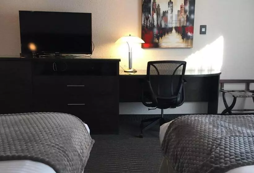 Quarto Classe Business, Des Eskers