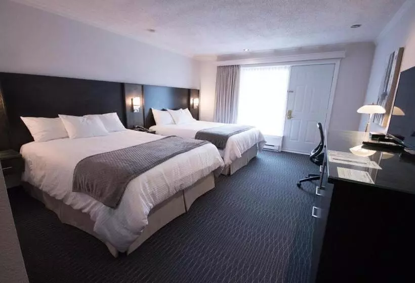 Quarto Classe Business, Des Eskers