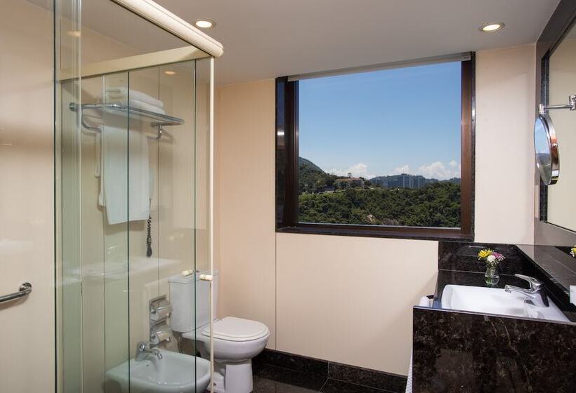 اتاق استاندارد با چشم‌انداز دریا, Hilton Copacabana Rio De Janeiro