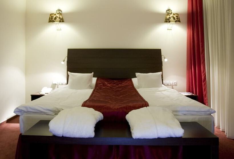 اتاق کلاس بیزنس, Imperial Hotel Ostrava
