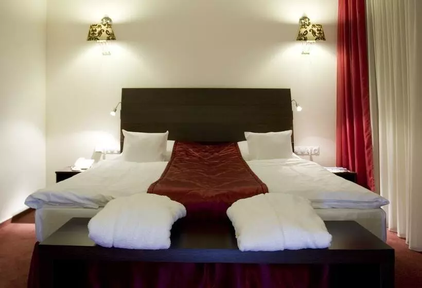 ビジネスルーム, Imperial Hotel Ostrava