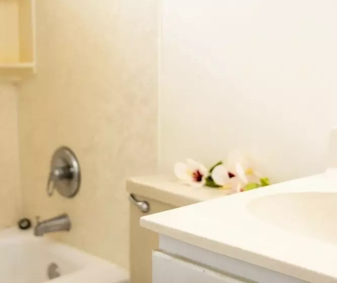 استودیوی استاندارد با چشم‌انداز دریا, Orange Hill Beach Inn
