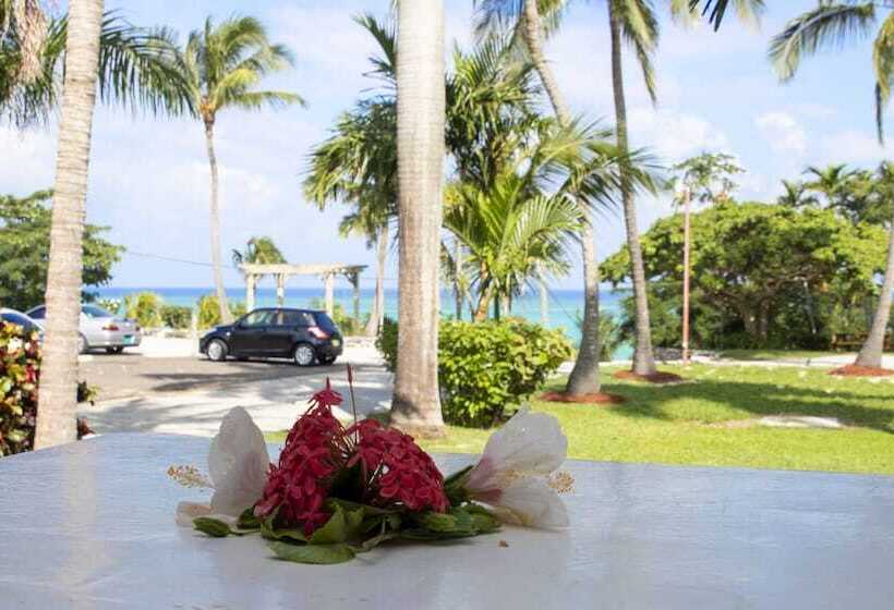 海の見えるスタンダードスタジオ, Orange Hill Beach Inn