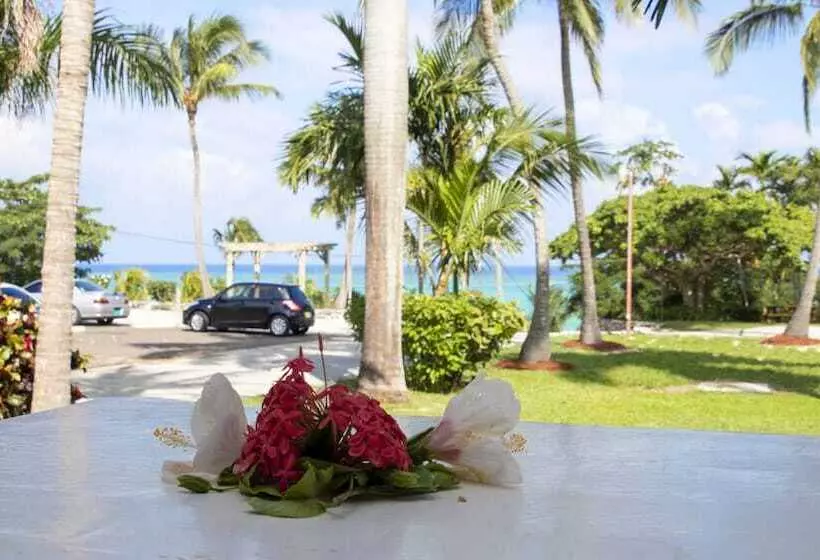 استودیوی استاندارد با چشم‌انداز دریا, Orange Hill Beach Inn