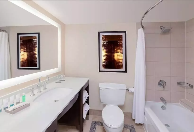 デラックスルーム, The Westin Calgary