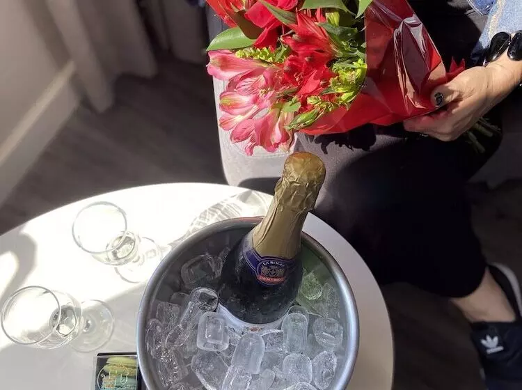 آپارتمان سوپریور 1 خوابه, Novotel Sao Jose Dos Campos