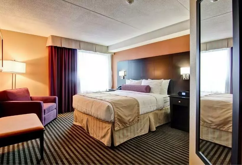 スタンダードルーム, Best Western Plus Toronto North York Hotel & Suites