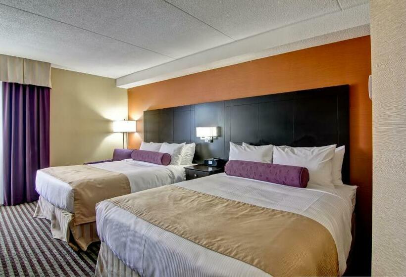 标准间, Best Western Plus Toronto North York Hotel & Suites
