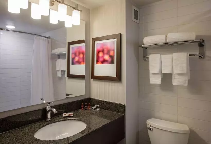 Premium-huone, Delta Hotels By Marriott Beausejour
