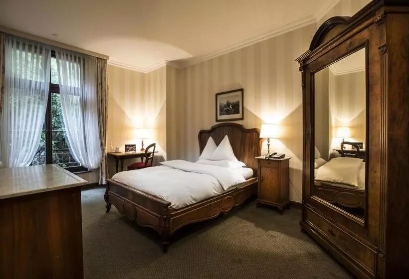 景色の見えるスタンダードシングルルーム, Grandhotel Giessbach