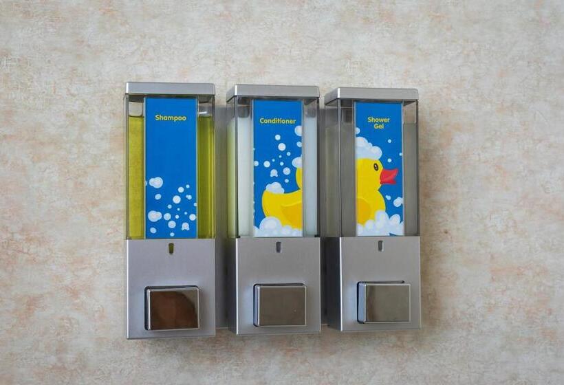 Люкс, Accent Inns Victoria