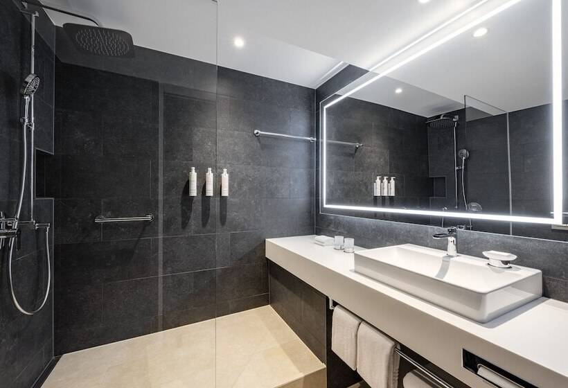 주니어 스위트, Basel Marriott