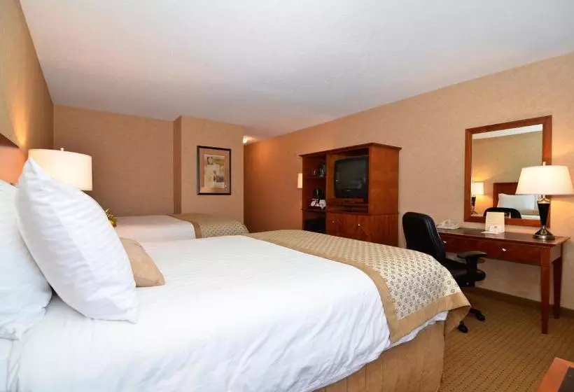 スタンダードルーム, Best Western Plus Langley Inn