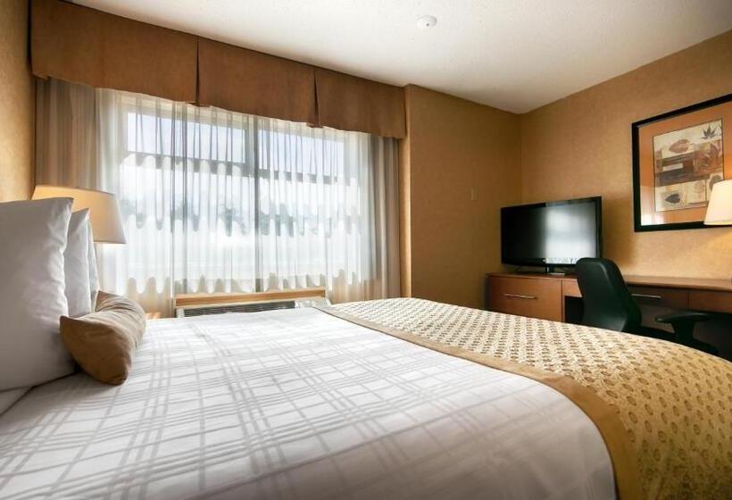 اتاق استاندارد, Best Western Plus Langley Inn