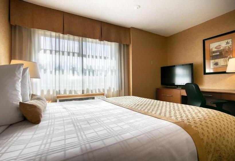 اتاق استاندارد, Best Western Plus Langley Inn