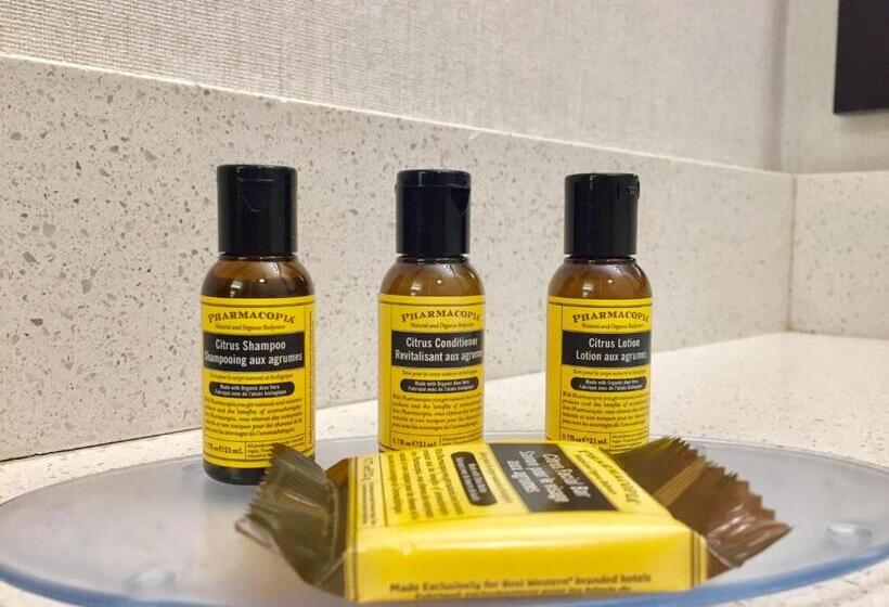 سوییت, Best Western Plus Langley Inn