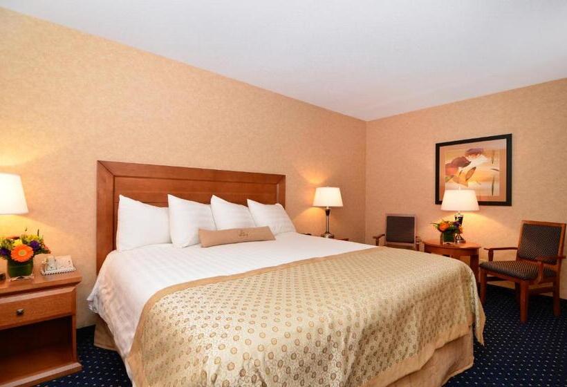 سوئیت با تخت بزرگ, Best Western Plus Langley Inn