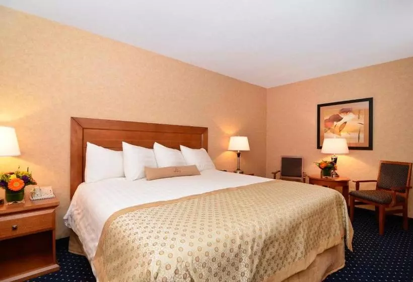 キングサイズベッドのスイートルーム, Best Western Plus Langley Inn