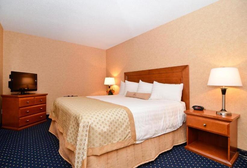 سوئیت با تخت بزرگ, Best Western Plus Langley Inn