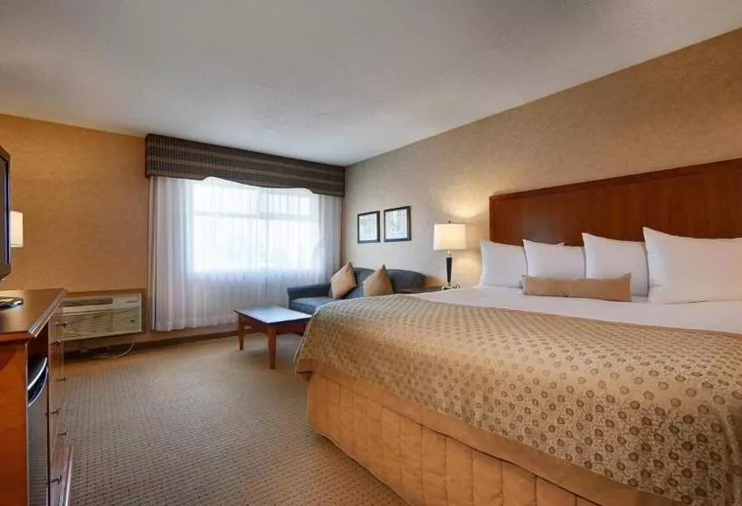キングサイズベッドのエクゼクティブルーム, Best Western Plus Langley Inn