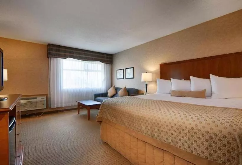 キングサイズベッドのエクゼクティブルーム, Best Western Plus Langley Inn