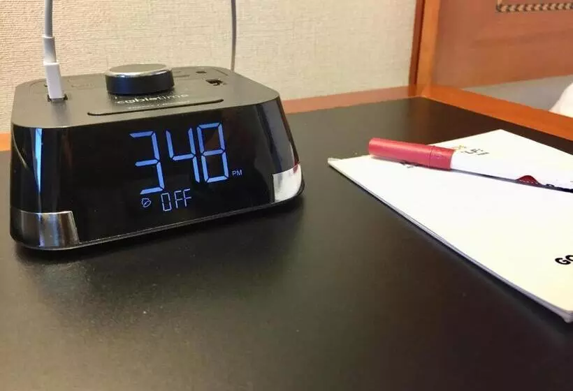 身障者適用キングサイズベッドルーム, Best Western Plus Langley Inn
