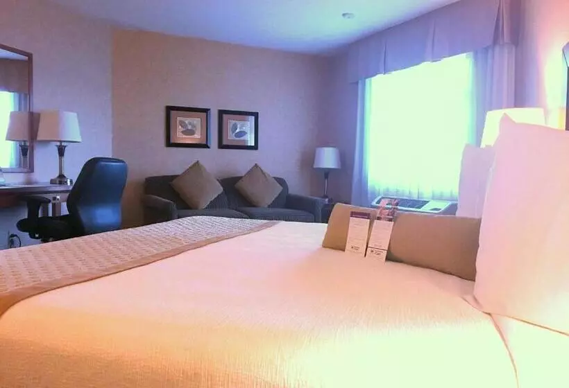 身障者適用キングサイズベッドルーム, Best Western Plus Langley Inn