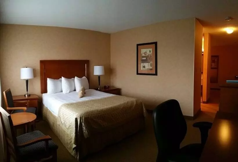 スイート, Best Western Plus Langley Inn