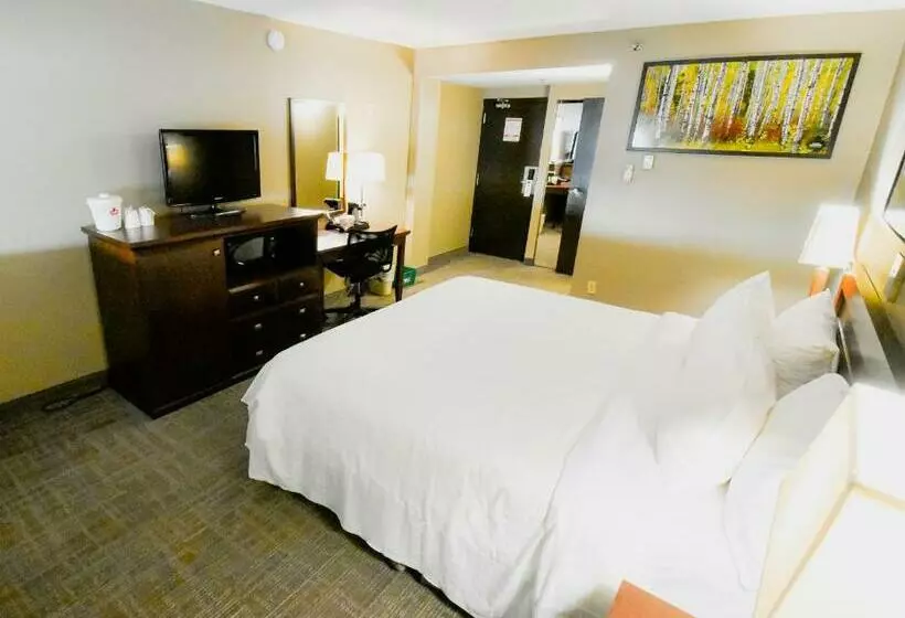 اتاق استاندارد با تخت بزرگ, Canad Inns Destination Centre Polo Park