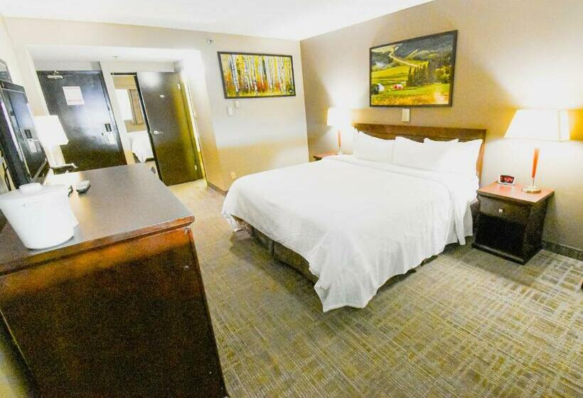 חדר סטנדרט עם מיטת קינג, Canad Inns Destination Centre Polo Park