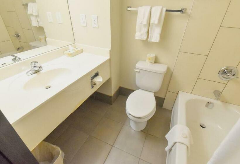 חדר סטנדרט עם מיטת קינג, Canad Inns Destination Centre Polo Park