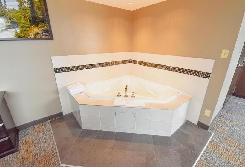 חדר סטנדרט עם מיטת קינג, Canad Inns Destination Centre Polo Park