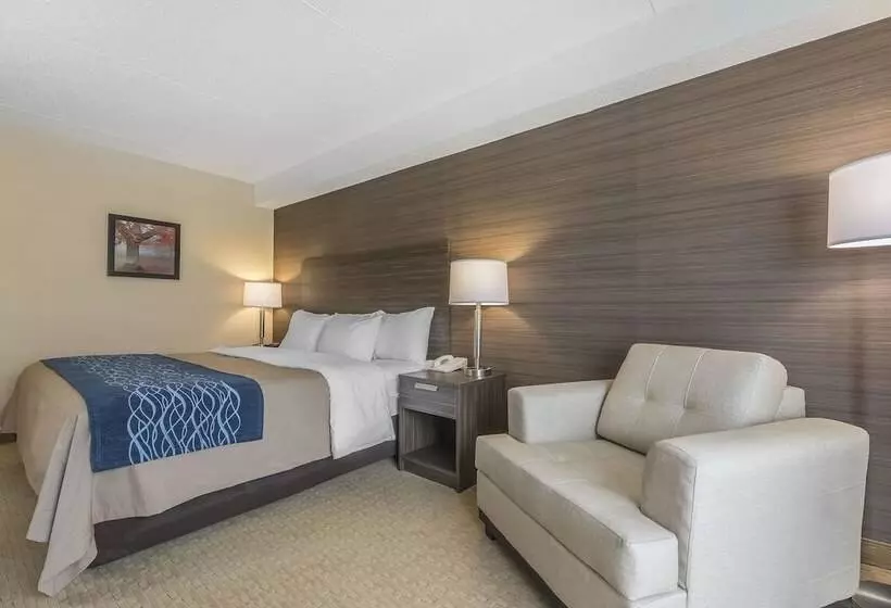 Quarto Deluxe Cama King, Comfort Inn