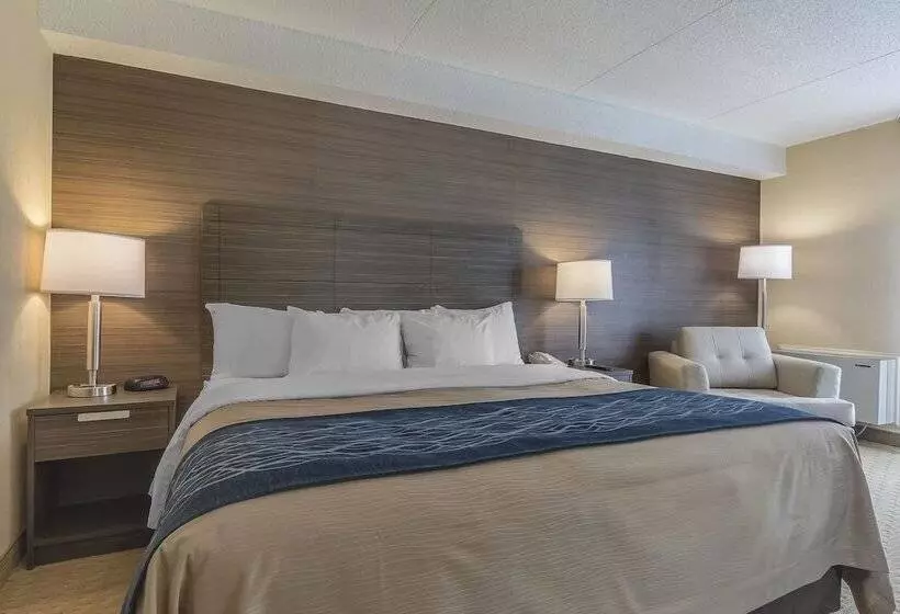 Quarto Deluxe Cama King, Comfort Inn