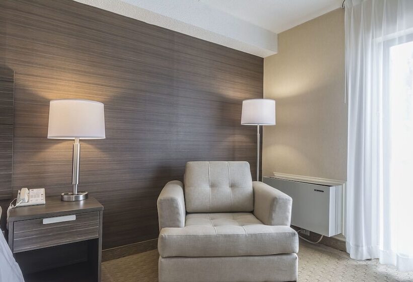 غرفة ديلوكس سرير كينج, Comfort Inn