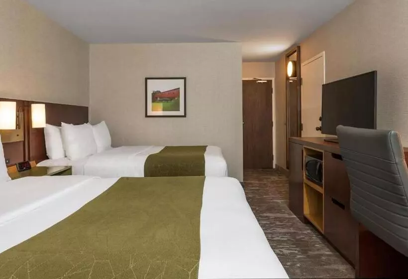 スタンダードルーム, Comfort Inn