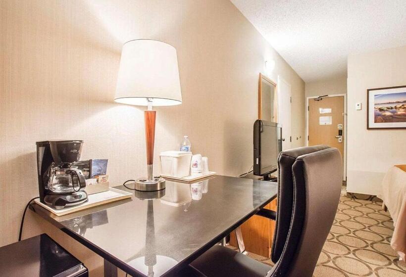 غرفه قياسيه سريرين مزدوجين, Comfort Inn