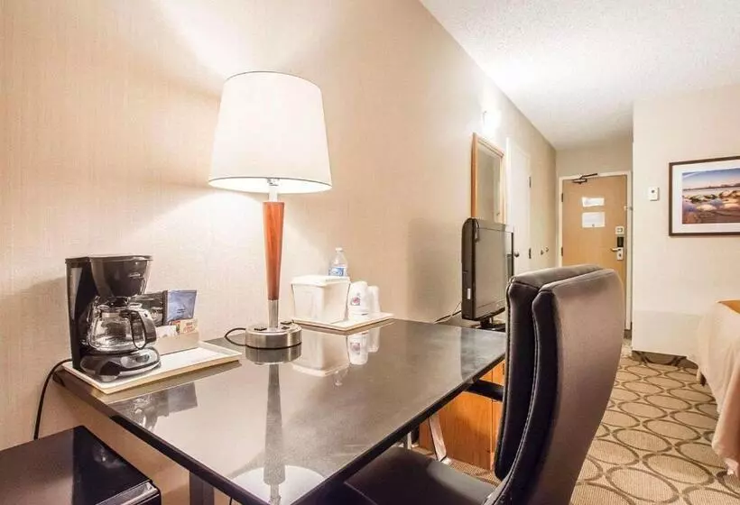 اتاق استاندارد با 2 تخت دوبل, Comfort Inn